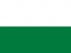Pando